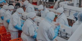Commercial Food Processing Commercial Food Processing