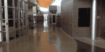 School School